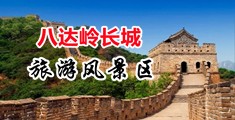 污视频网站男女操逼中国北京-八达岭长城旅游风景区